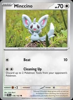 Minccino card in English