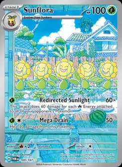 Sunflora card in English