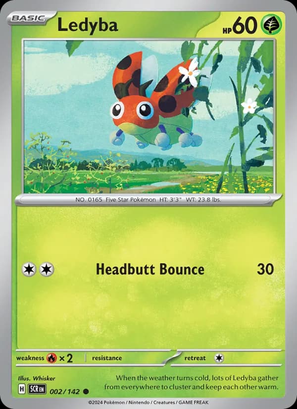 Ledyba card in English