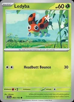 Ledyba card in English