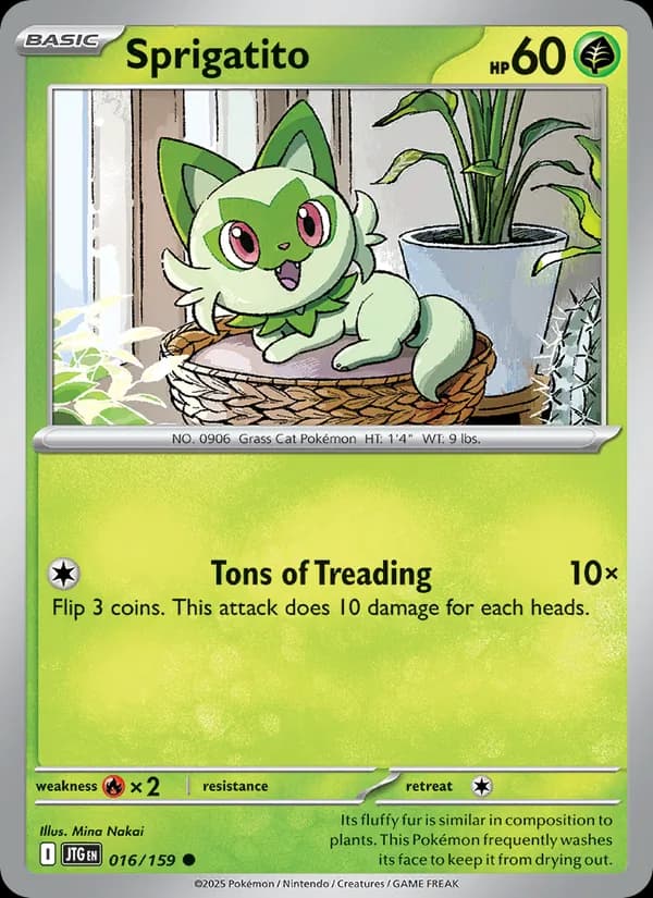 Sprigatito card in English