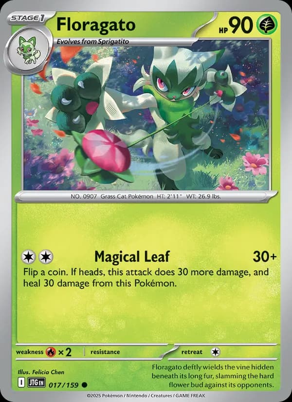 Floragato card in English