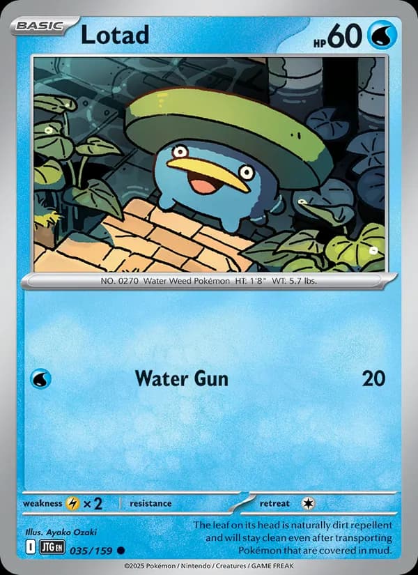 Lotad card in English