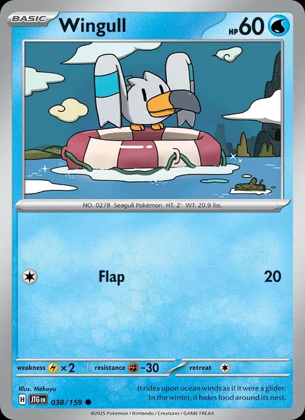 Wingull card in English