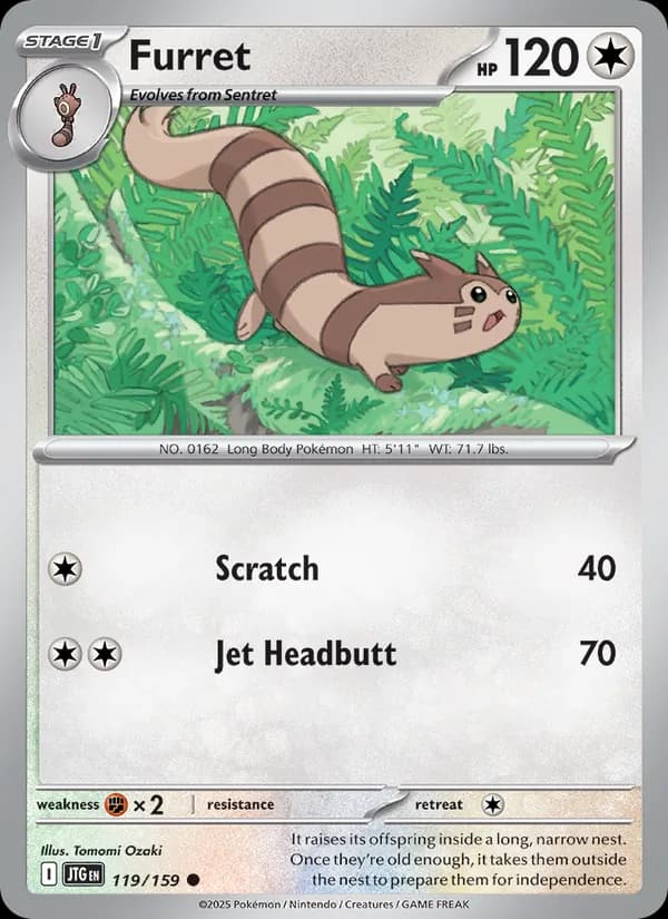 Furret card in English