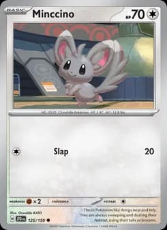 Minccino card in English