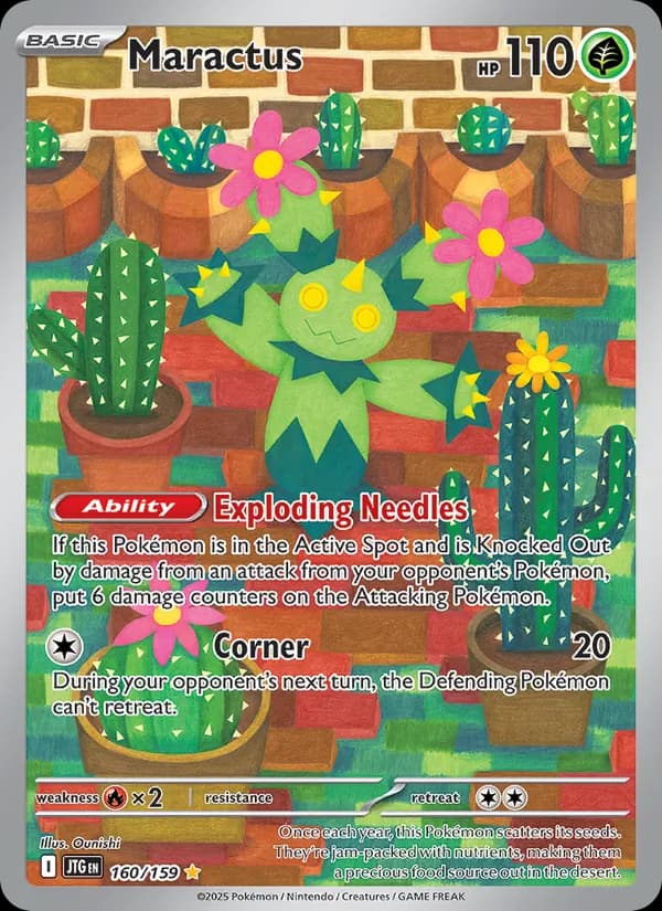 Maractus card in English