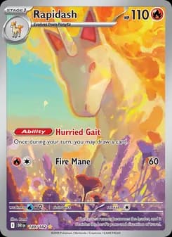 Rapidash card in English