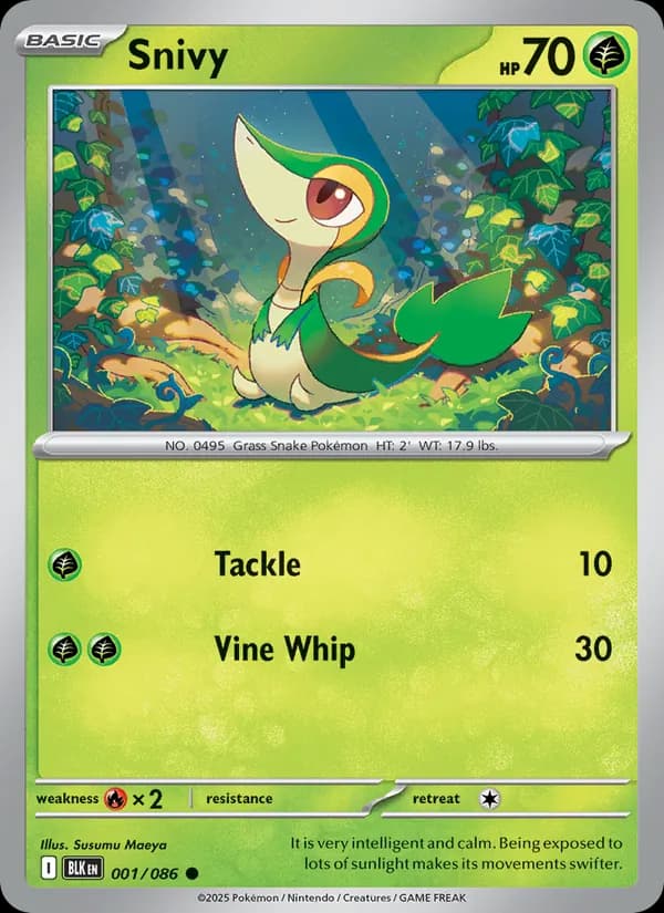 Snivy card in English