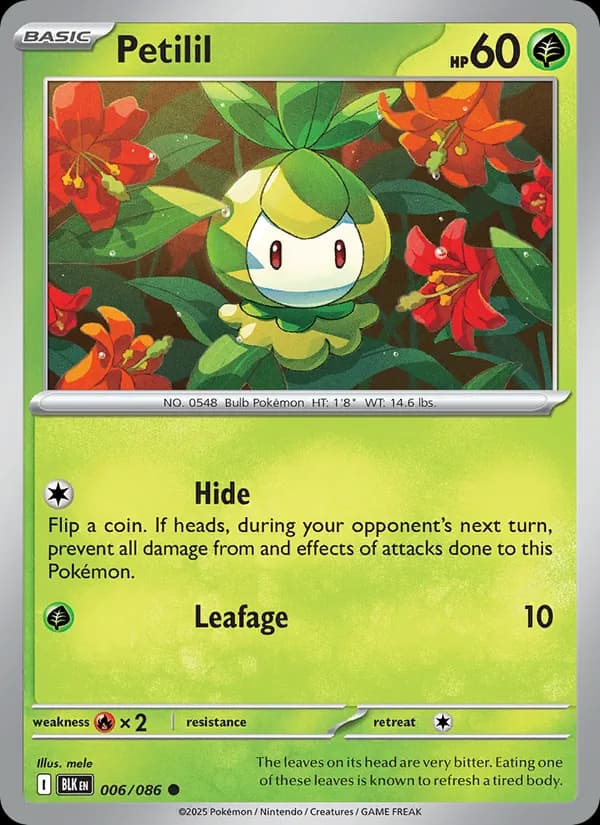Petilil card in English
