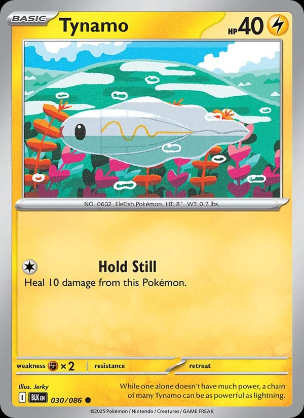 Tynamo card in English