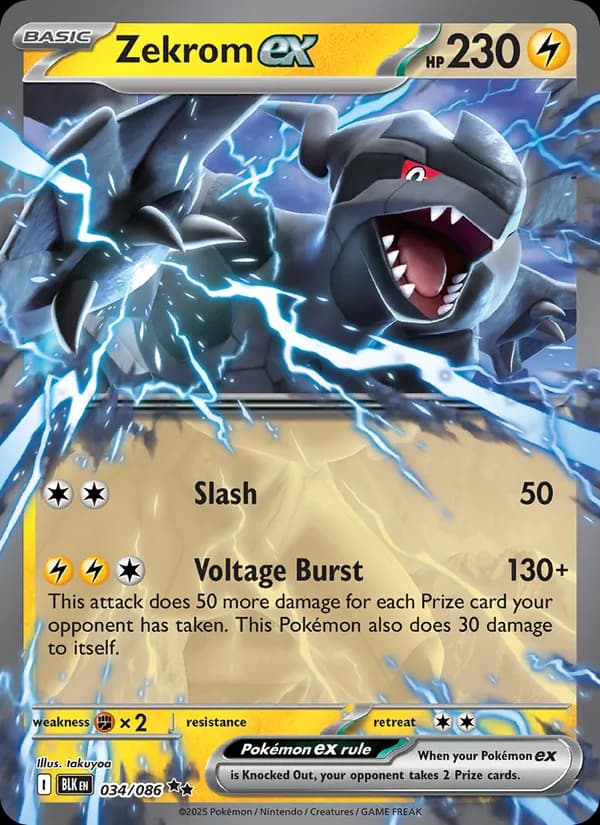 Zekrom ex card in English