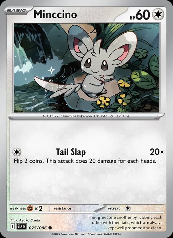 Minccino card in English