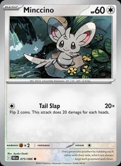 Minccino card in English