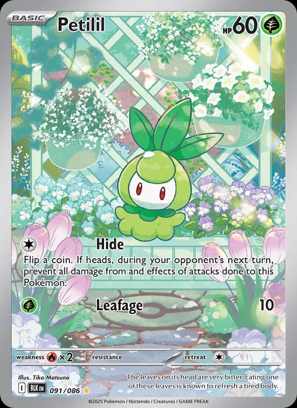 Petilil card in English