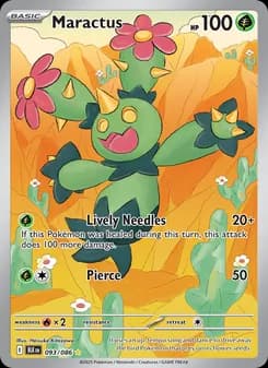 Maractus card in English
