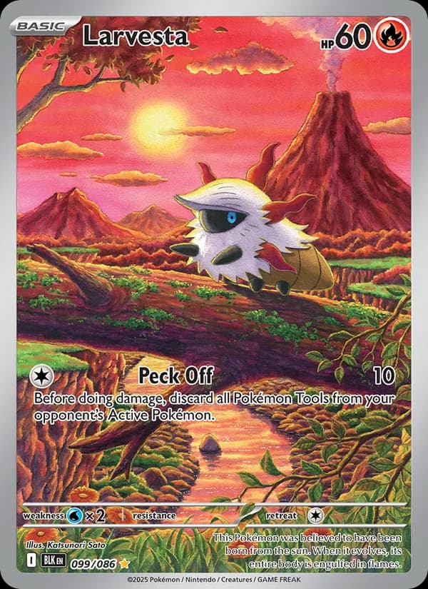 Larvesta card in English
