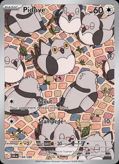 Pidove card in English