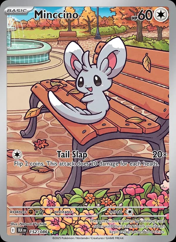 Minccino card in English
