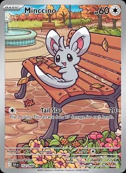 Minccino card in English