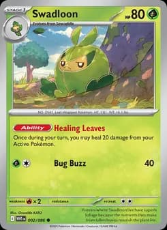 Swadloon card in English