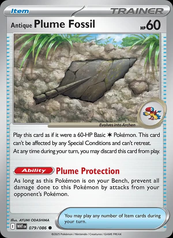 Antique Plume Fossil card in English
