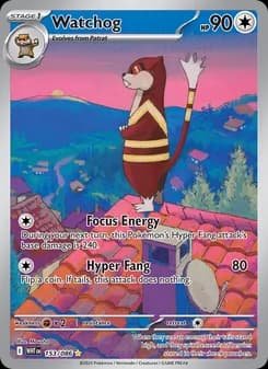 Watchog card in English