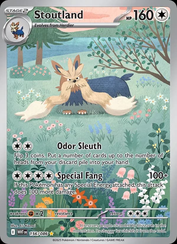 Stoutland card in English