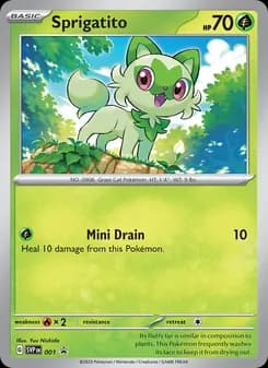 Sprigatito card in English