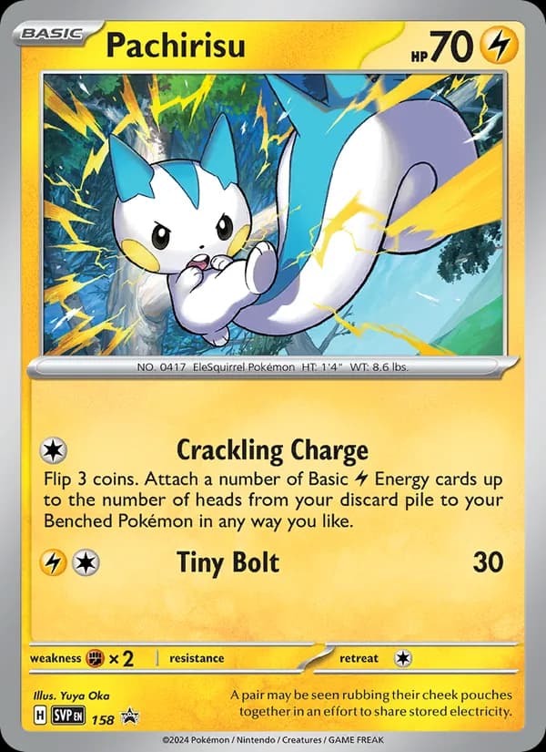 Pachirisu card in English