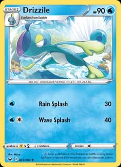 Drizzile card in English