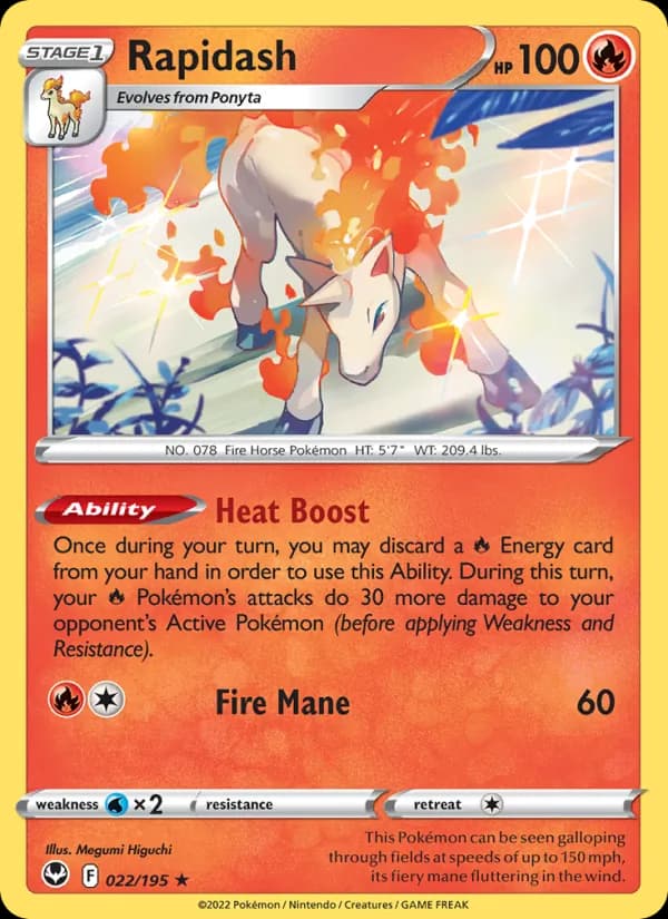 Rapidash card in English