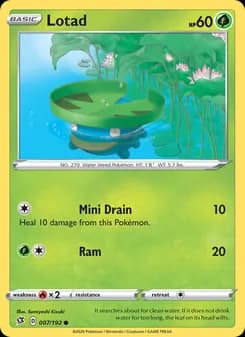Lotad card in English