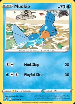 Mudkip card in English