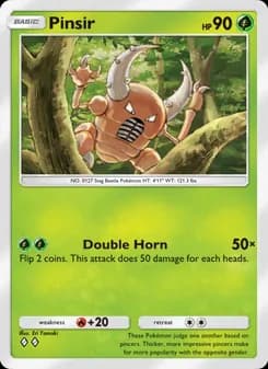 Pinsir card in English