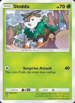 Skiddo card in English