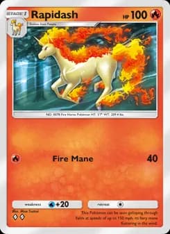 Rapidash card in English