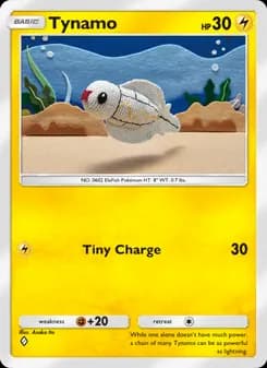 Tynamo card in English