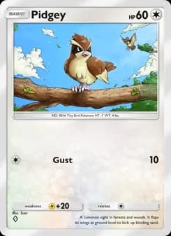 Pidgey card in English