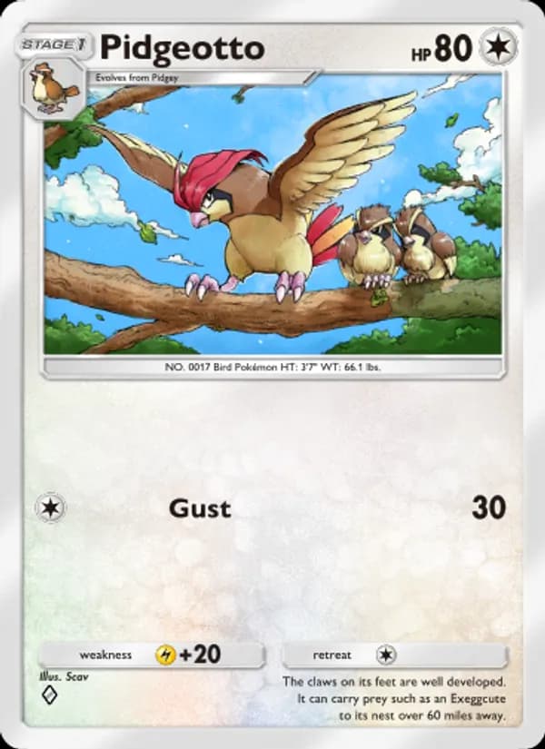 Pidgeotto card in English
