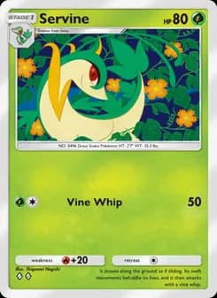 Servine card in English