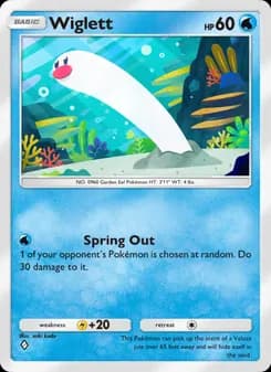 Wiglett card in English