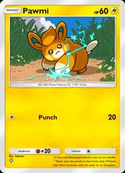 Pawmi card in English