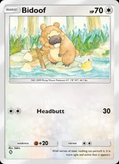 Bidoof card in English