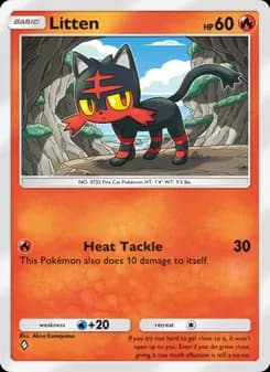 Litten card in English