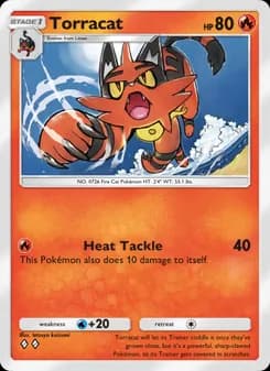 Torracat card in English