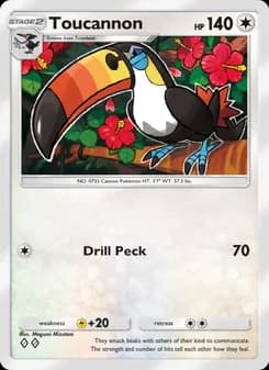 Toucannon card in English
