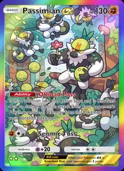 Passimian ex card in English