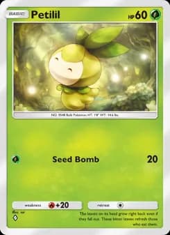 Petilil card in English