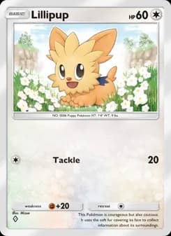 Lillipup card in English